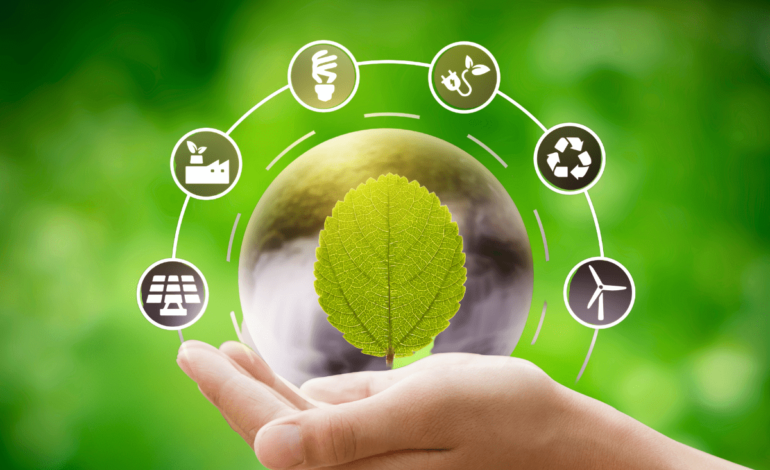 Eco-Friendly Living: Simple Tips for a Sustainable Life