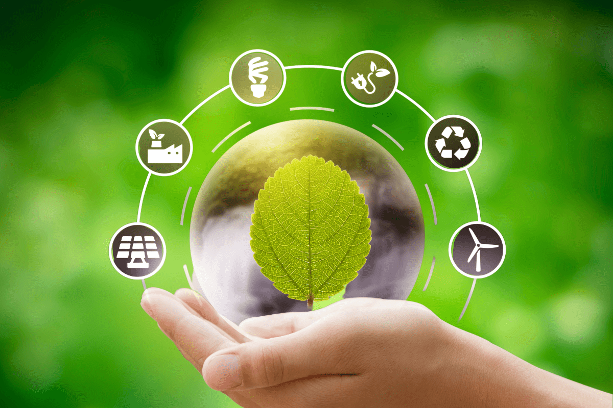 Eco-Friendly Living: Simple Tips for a Sustainable Life