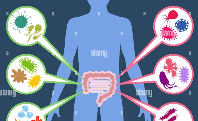 The Gut-Microbiome Connection: Your Guide to a Healthy Gut