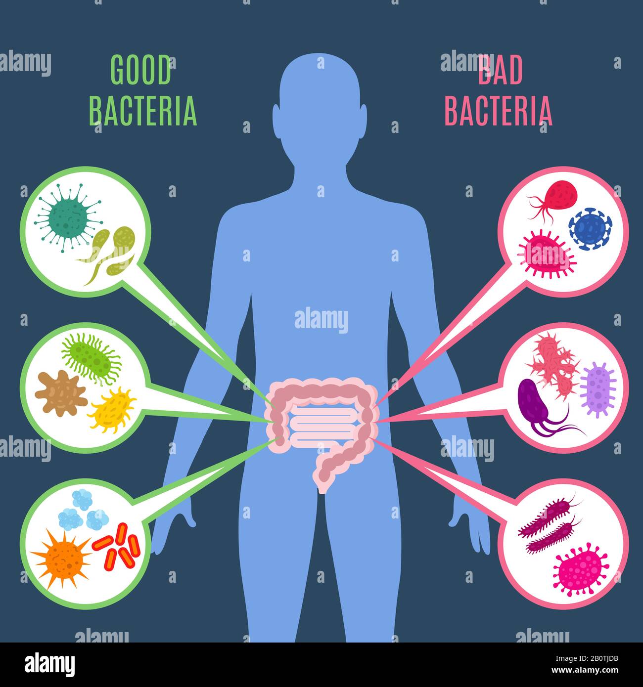 The Gut-Microbiome Connection: Your Guide to a Healthy Gut