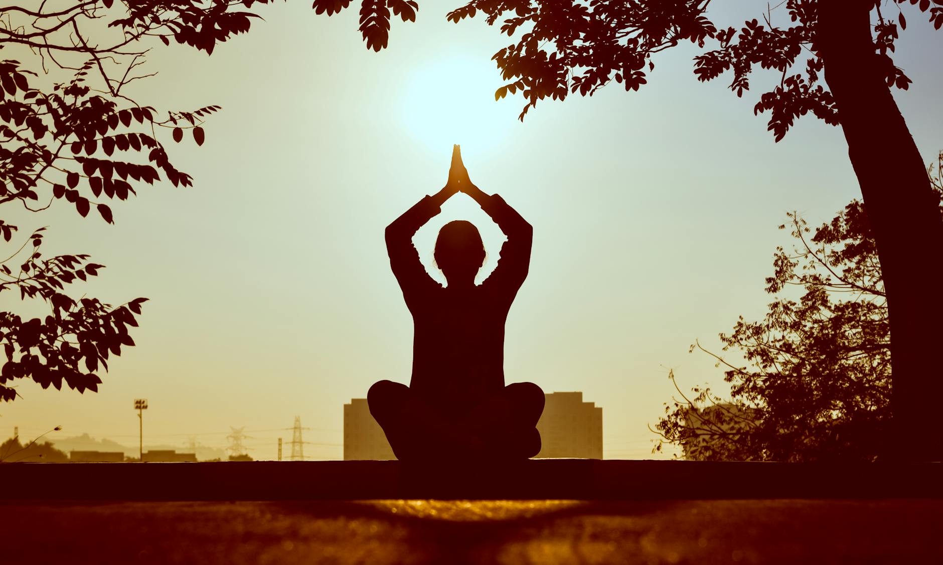 Intentions vs. Goals: A Guide to a More Fulfilling Life